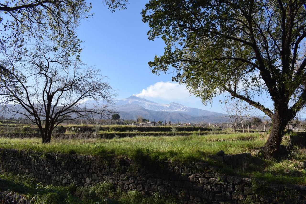 圣韦内里纳Etna Tra Le Querce别墅 外观 照片